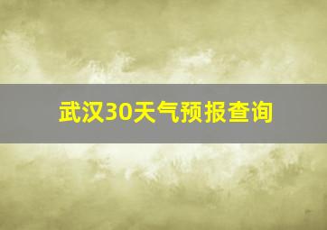 武汉30天气预报查询