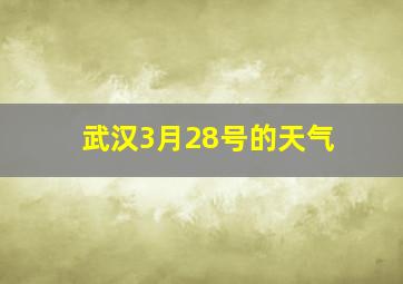 武汉3月28号的天气