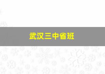 武汉三中省班