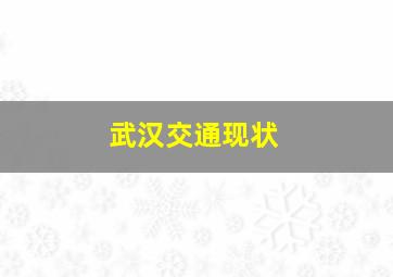 武汉交通现状