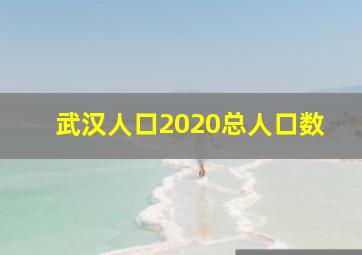 武汉人口2020总人口数