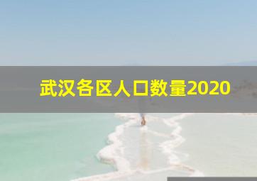 武汉各区人口数量2020