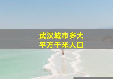 武汉城市多大平方千米人口