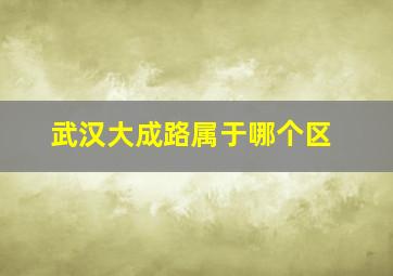 武汉大成路属于哪个区