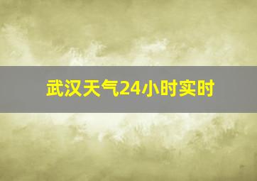 武汉天气24小时实时