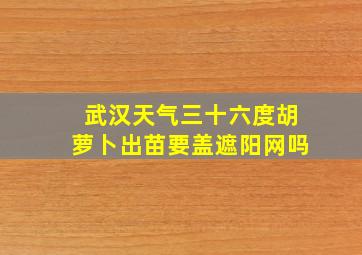 武汉天气三十六度胡萝卜出苗要盖遮阳网吗