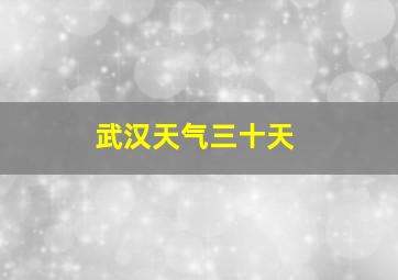 武汉天气三十天