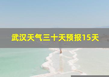 武汉天气三十天预报15天