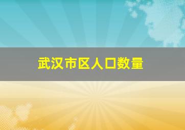 武汉市区人口数量