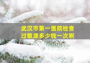 武汉市第一医院检查过敏源多少钱一次啊