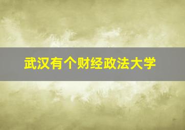 武汉有个财经政法大学