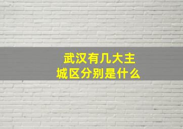 武汉有几大主城区分别是什么