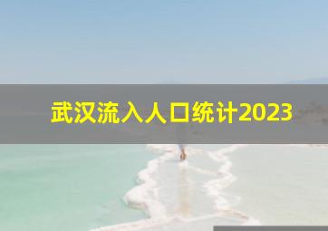 武汉流入人口统计2023