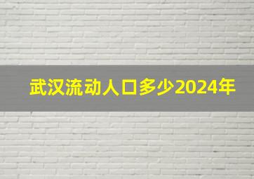 武汉流动人口多少2024年