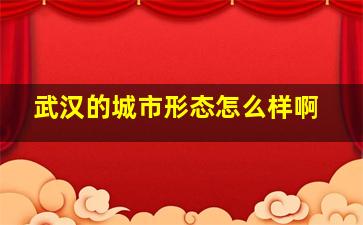 武汉的城市形态怎么样啊