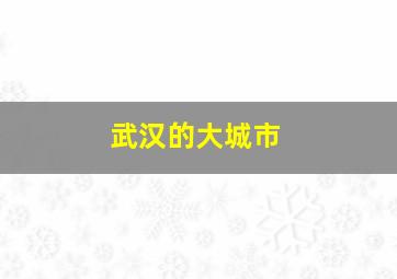 武汉的大城市