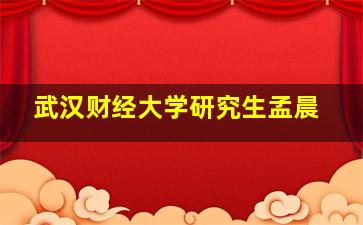 武汉财经大学研究生孟晨