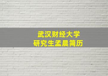 武汉财经大学研究生孟晨简历