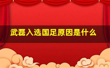 武磊入选国足原因是什么