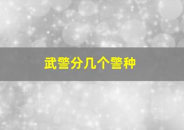 武警分几个警种