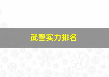 武警实力排名