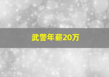 武警年薪20万