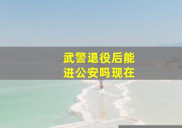 武警退役后能进公安吗现在