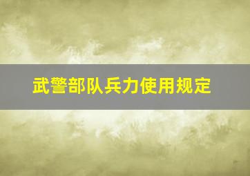 武警部队兵力使用规定