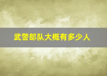 武警部队大概有多少人