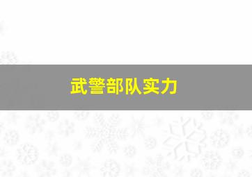 武警部队实力