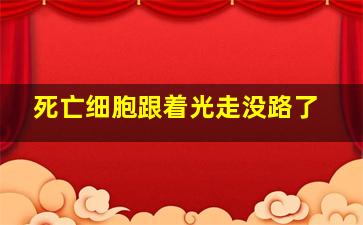 死亡细胞跟着光走没路了