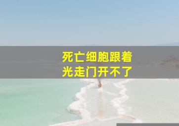 死亡细胞跟着光走门开不了