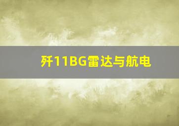 歼11BG雷达与航电