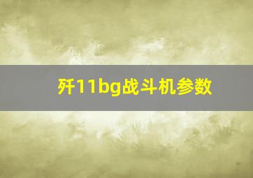 歼11bg战斗机参数