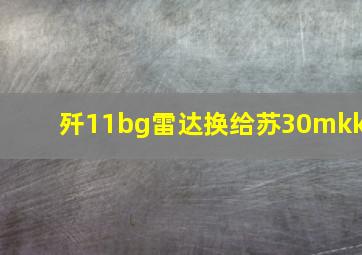 歼11bg雷达换给苏30mkk