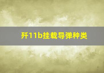 歼11b挂载导弹种类