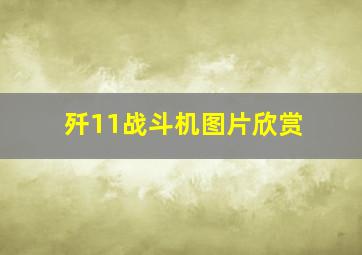 歼11战斗机图片欣赏