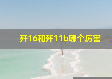 歼16和歼11b哪个厉害