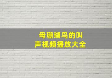 母珊瑚鸟的叫声视频播放大全