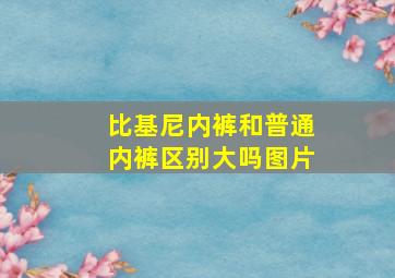 比基尼内裤和普通内裤区别大吗图片