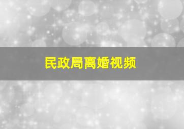 民政局离婚视频