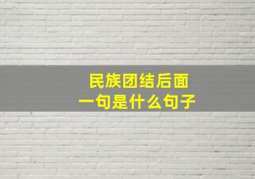 民族团结后面一句是什么句子