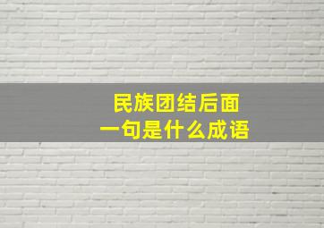 民族团结后面一句是什么成语