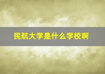 民航大学是什么学校啊