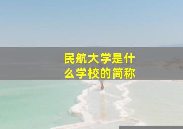 民航大学是什么学校的简称