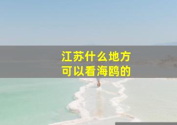 江苏什么地方可以看海鸥的