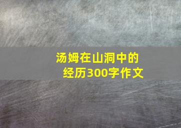 汤姆在山洞中的经历300字作文