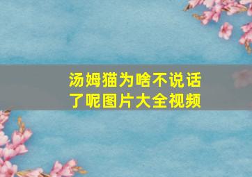 汤姆猫为啥不说话了呢图片大全视频