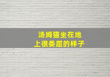 汤姆猫坐在地上很委屈的样子