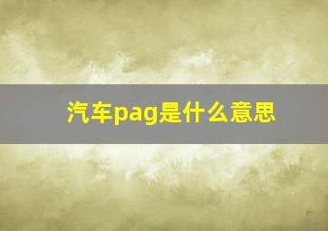 汽车pag是什么意思